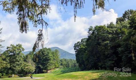 18 White Tail Drive Sapphire NC 28774