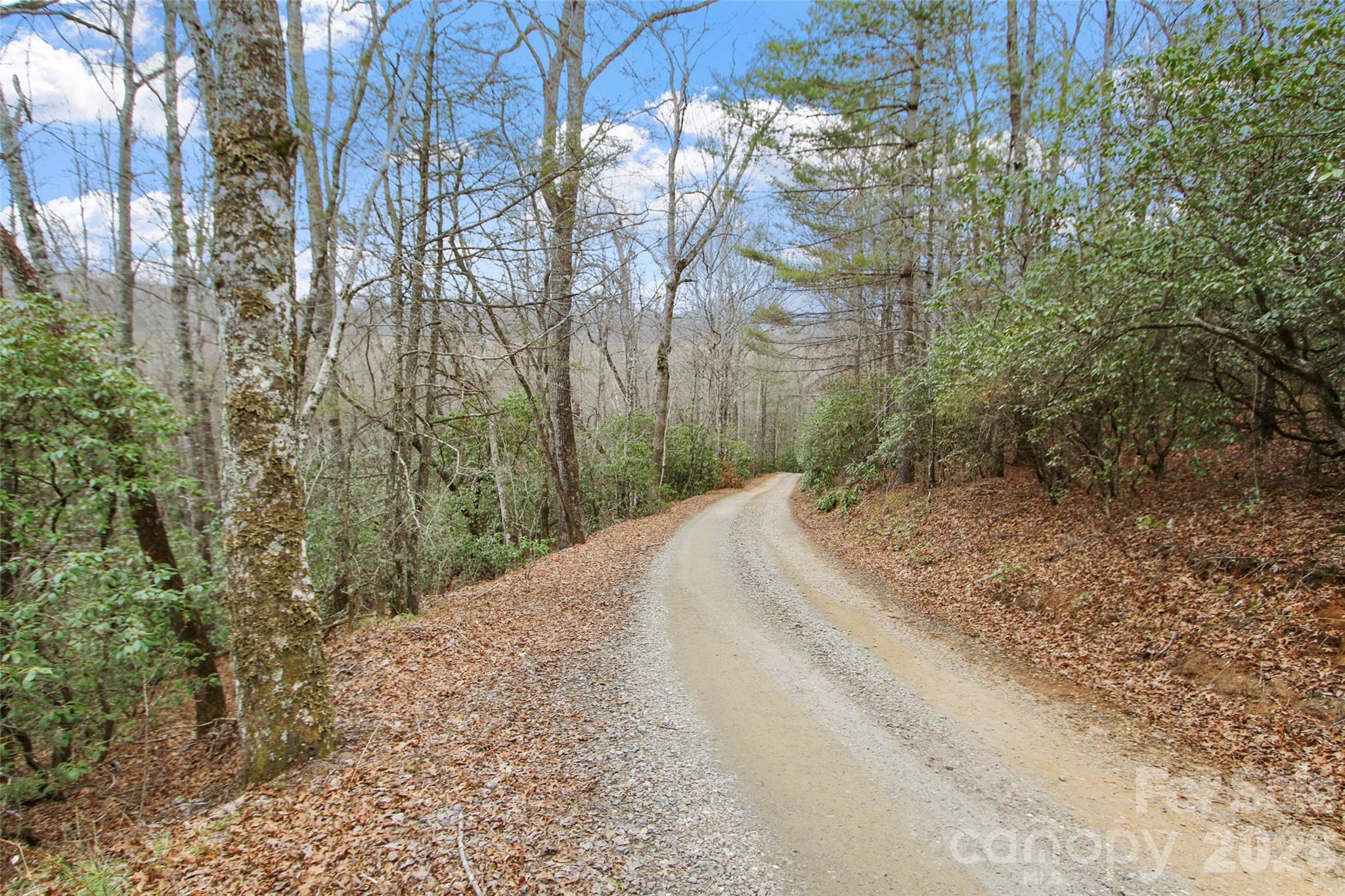 Lot 12 Patton Thicket Road Burnsville NC 28714