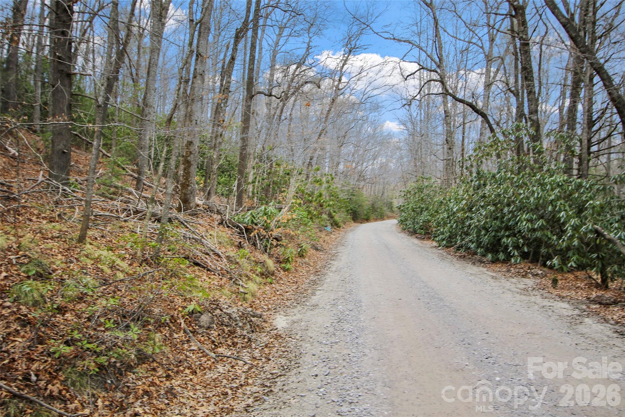 Lot 12 Patton Thicket Road Burnsville NC 28714