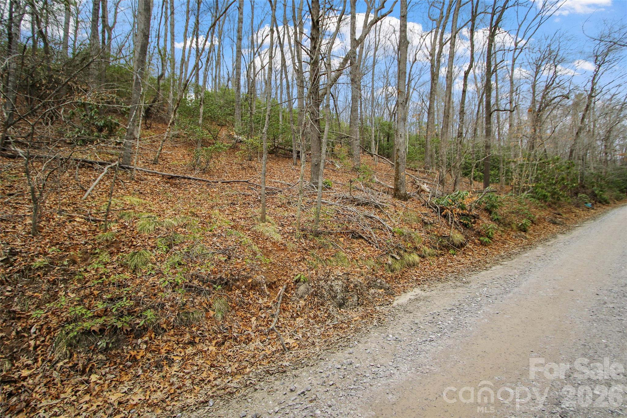 Lot 12 Patton Thicket Road Burnsville NC 28714