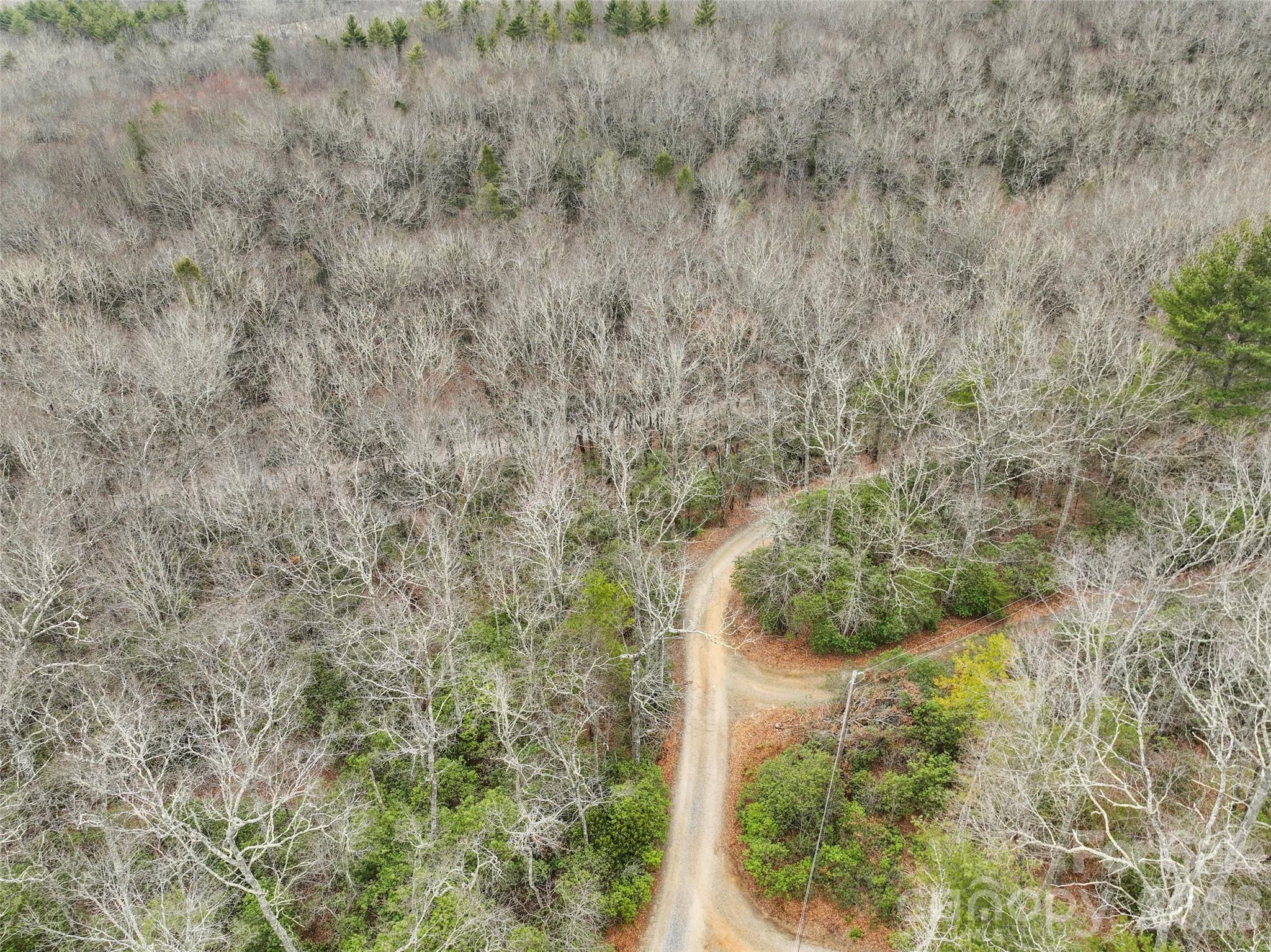 Lot 12 Patton Thicket Road Burnsville NC 28714