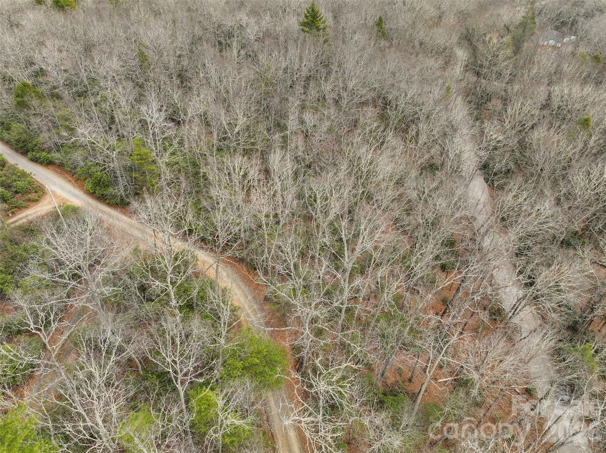 Lot 12 Patton Thicket Road Burnsville NC 28714