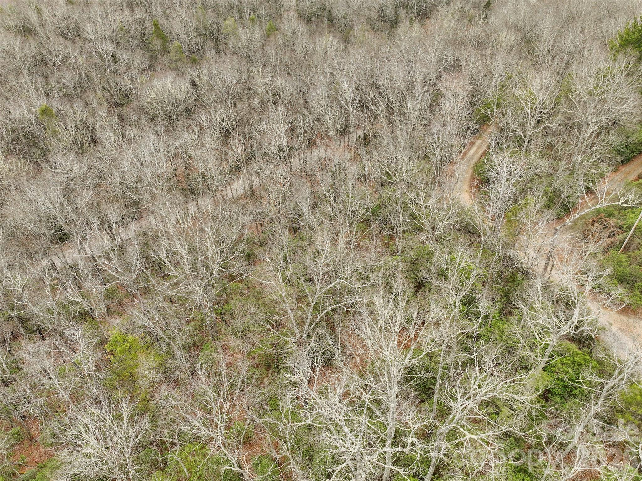 Lot 12 Patton Thicket Road Burnsville NC 28714