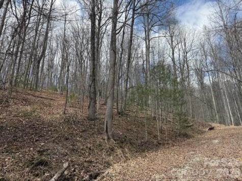 158 Chattooga Run Hendersonville NC 28739