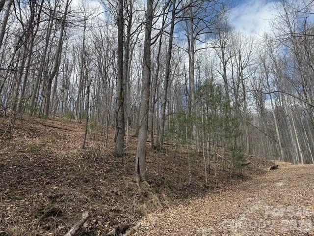 158 Chattooga Run Hendersonville NC 28739