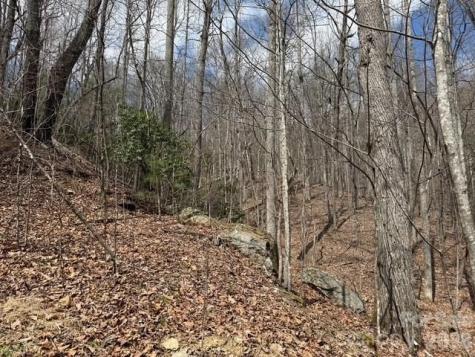 158 Chattooga Run Hendersonville NC 28739