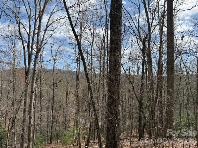 158 Chattooga Run Hendersonville NC 28739