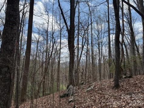 158 Chattooga Run Hendersonville NC 28739