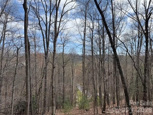 158 Chattooga Run Hendersonville NC 28739