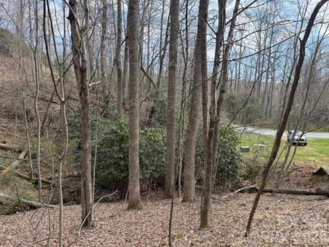 158 Chattooga Run Hendersonville NC 28739