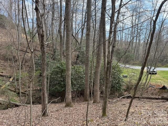 158 Chattooga Run Hendersonville NC 28739