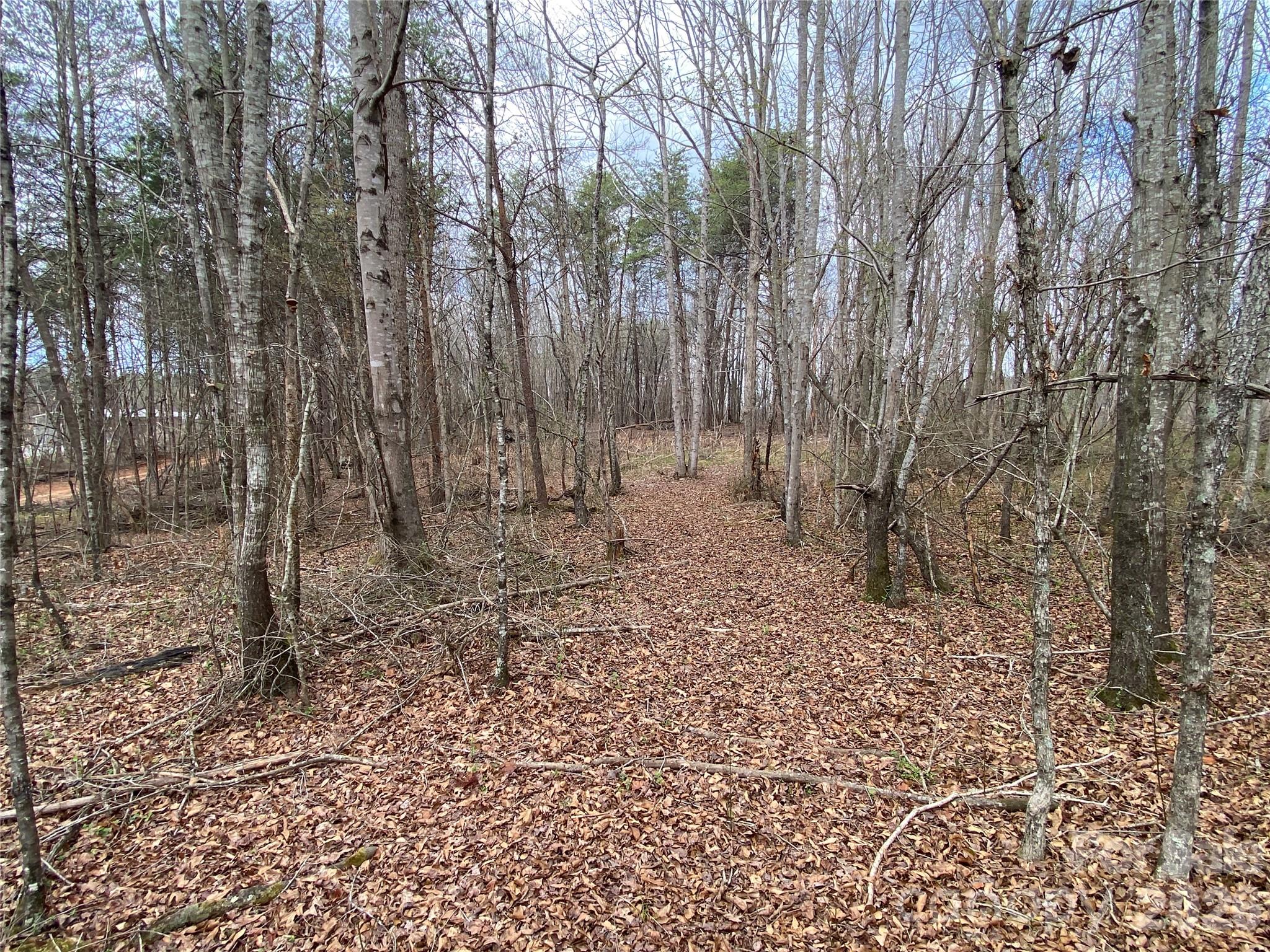 00 Painter Road Mooresboro NC 28114