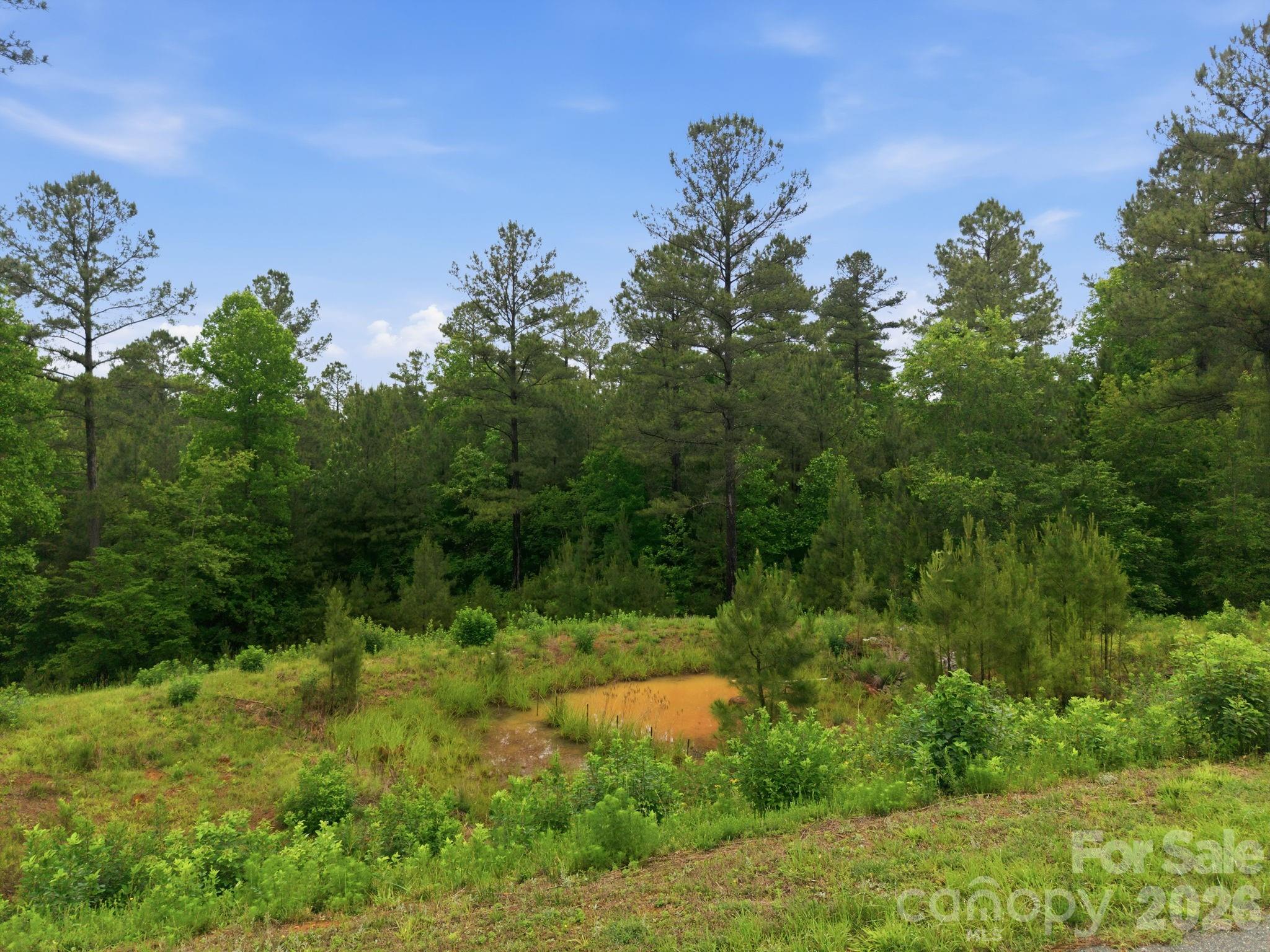1626 Lake Vista Drive NE Connelly Springs NC 28612
