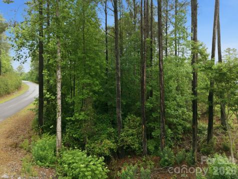 1626 Lake Vista Drive NE Connelly Springs NC 28612