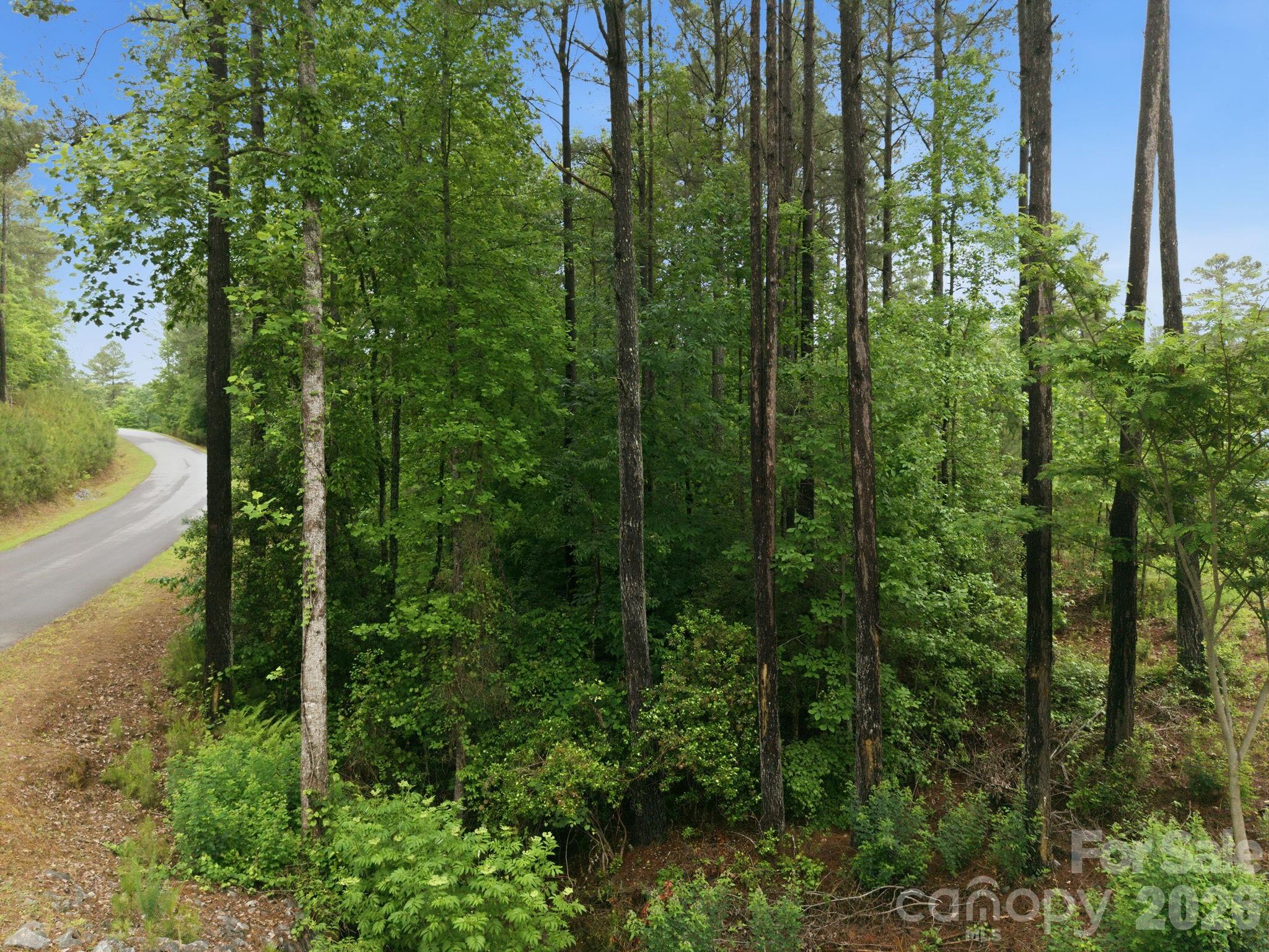 1626 Lake Vista Drive NE Connelly Springs NC 28612