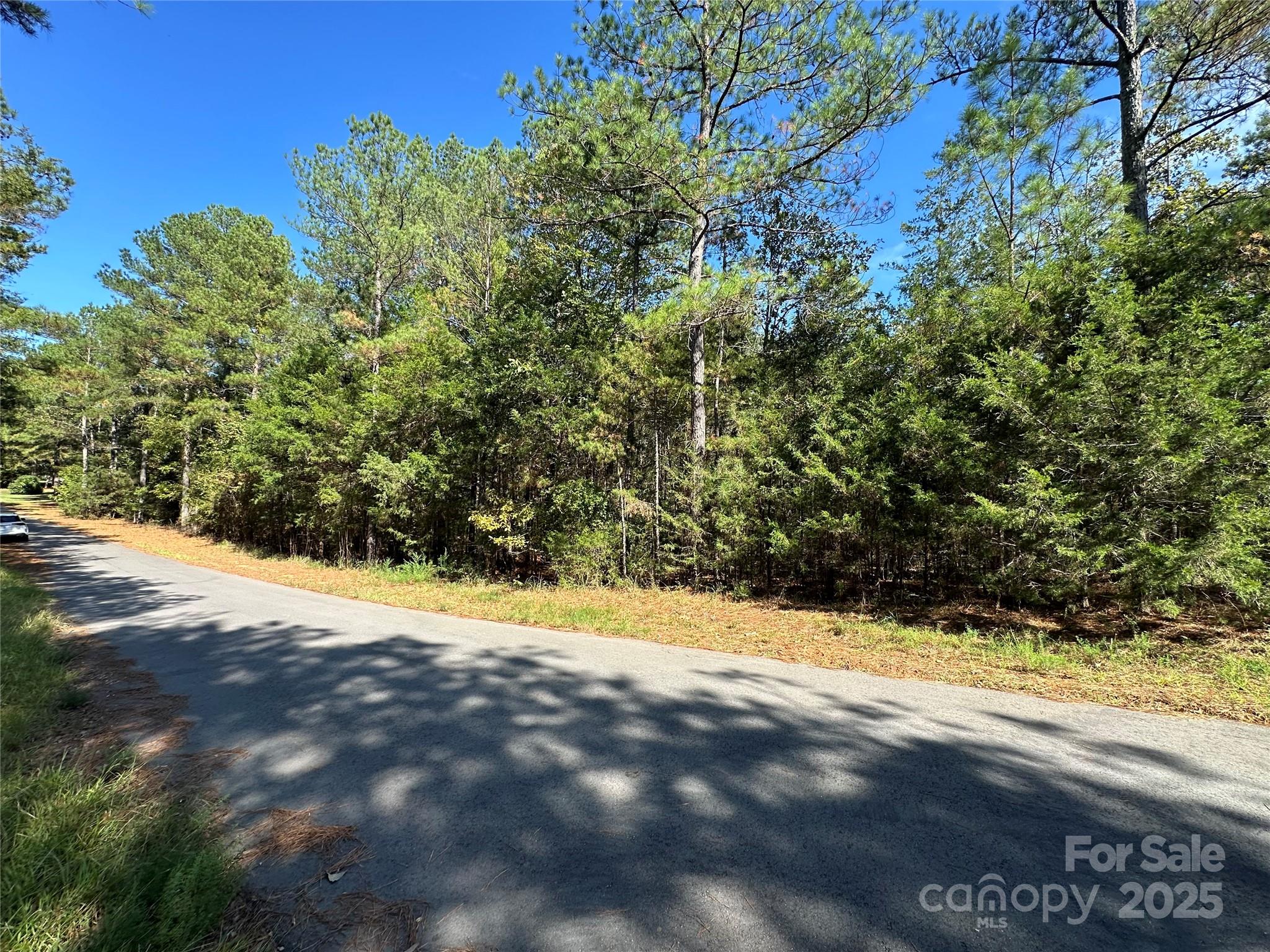 00 Lanksford Drive Chester SC 29714