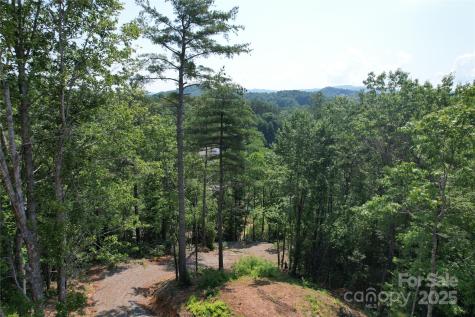 Tbd Bryson Road Brevard NC 28712
