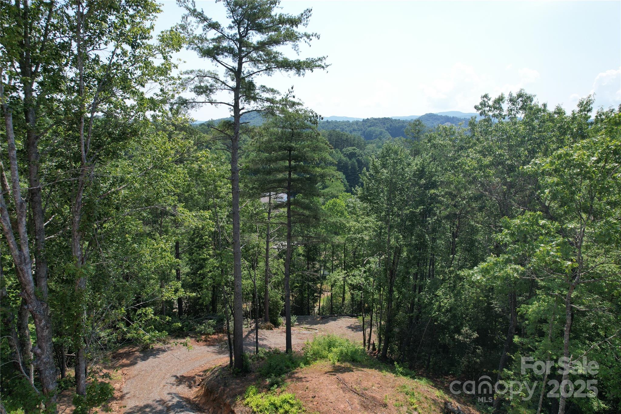 Tbd Bryson Road Brevard NC 28712