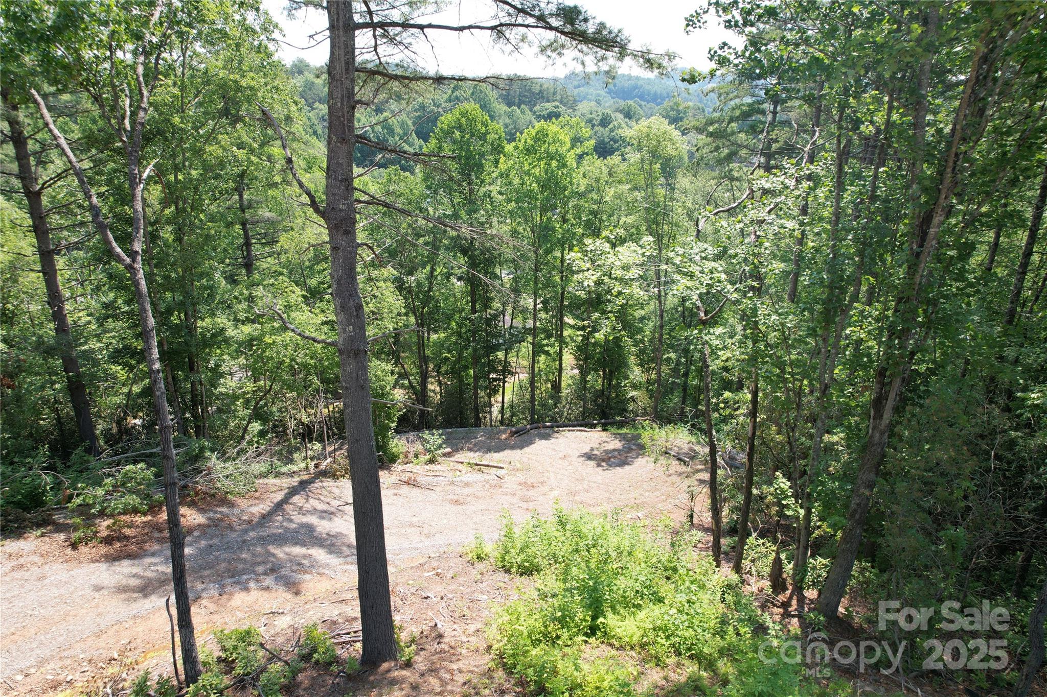 Tbd Bryson Road Brevard NC 28712