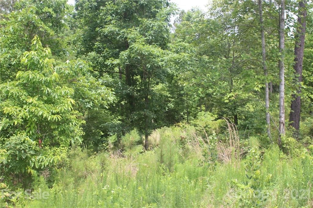 1826 Lake Vista Drive NE Connelly Springs NC 28612