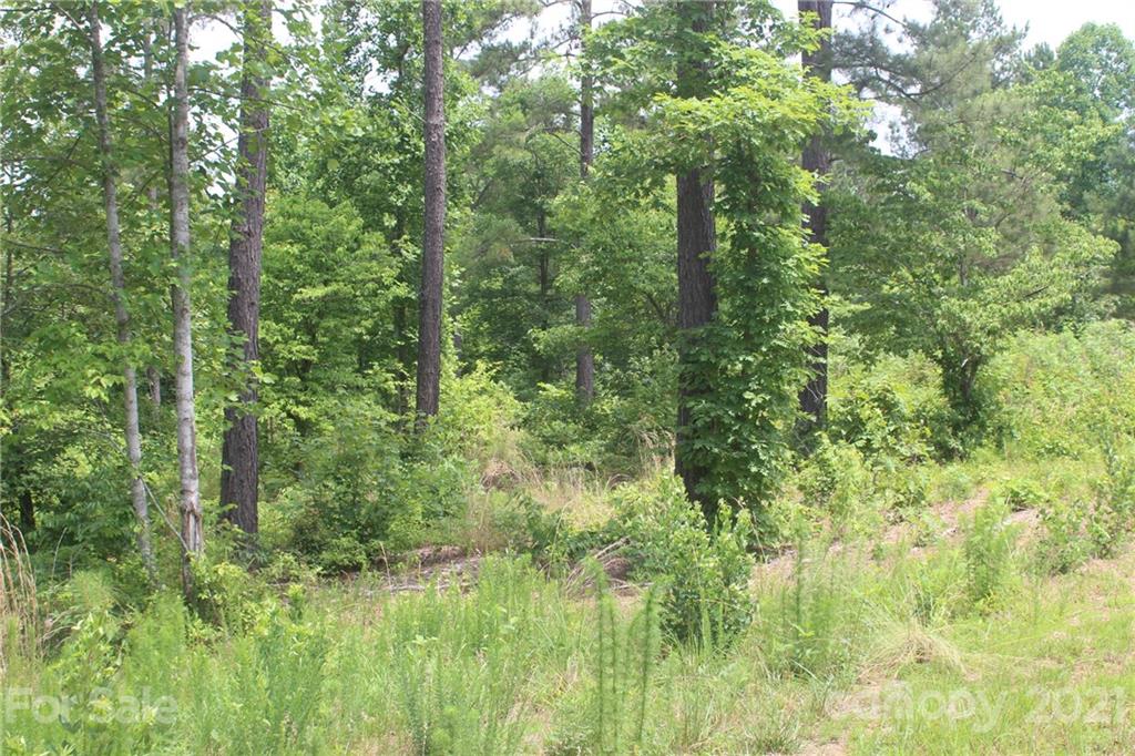 1826 Lake Vista Drive NE Connelly Springs NC 28612