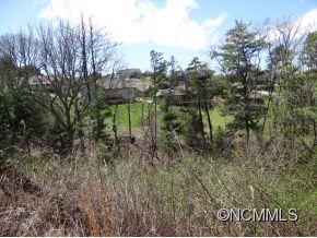 19 Climbing Aster Way Asheville NC 28806