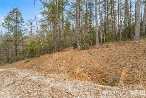 2086 October Drive Nebo NC 28761