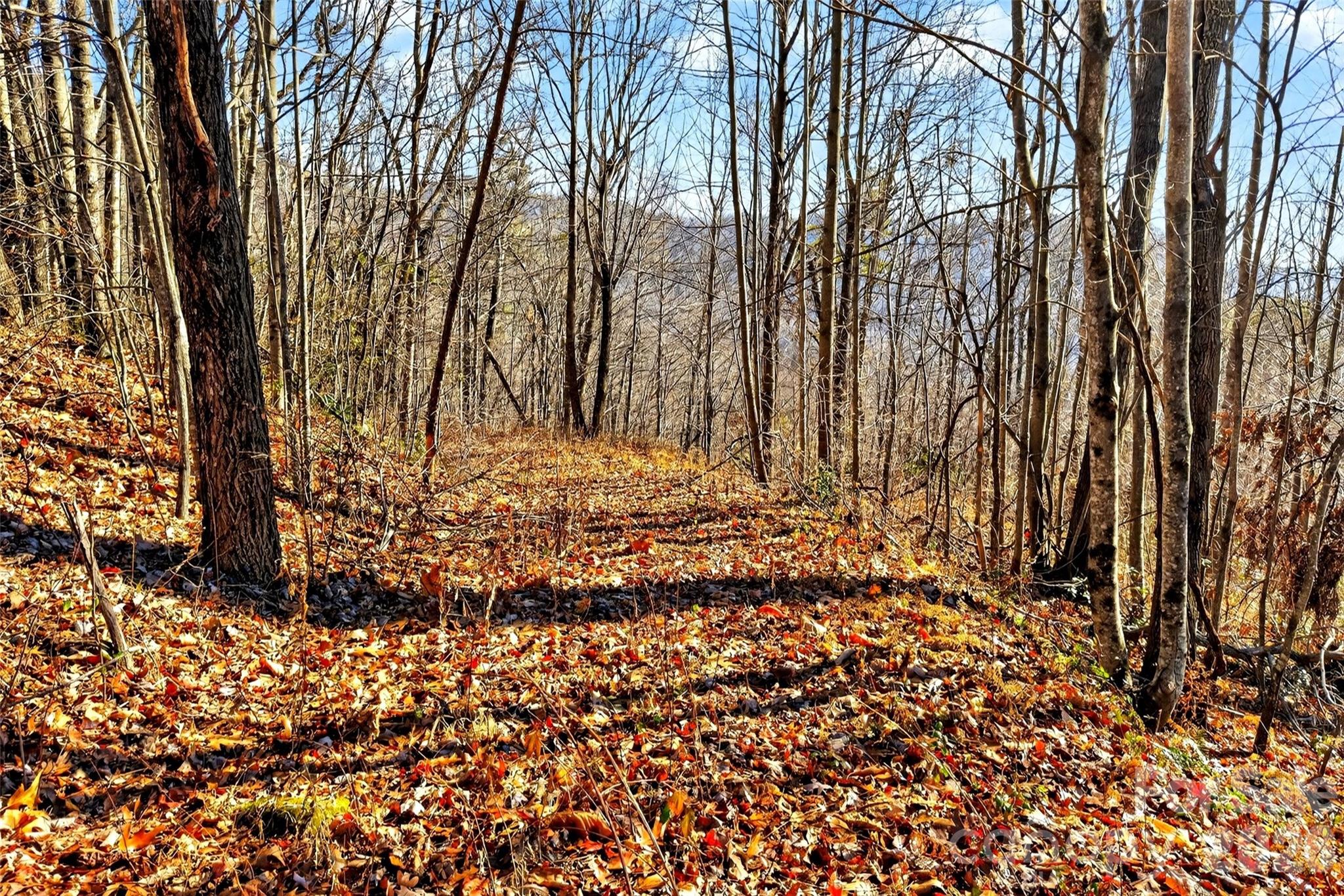 100 Wolf Pen Road Old Fort NC 28762