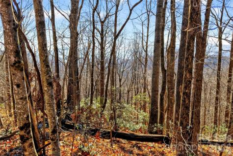 100 Wolf Pen Road Old Fort NC 28762