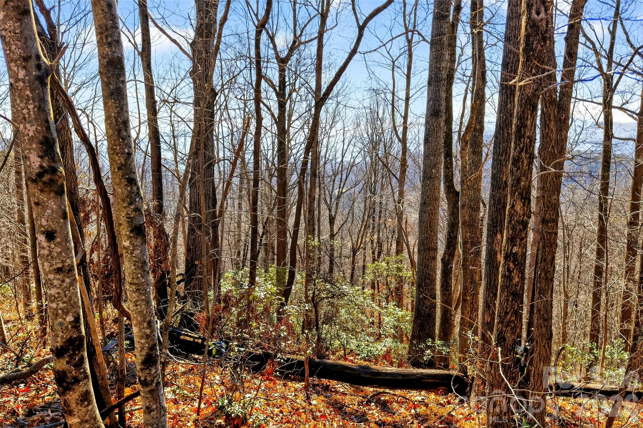 100 Wolf Pen Road Old Fort NC 28762