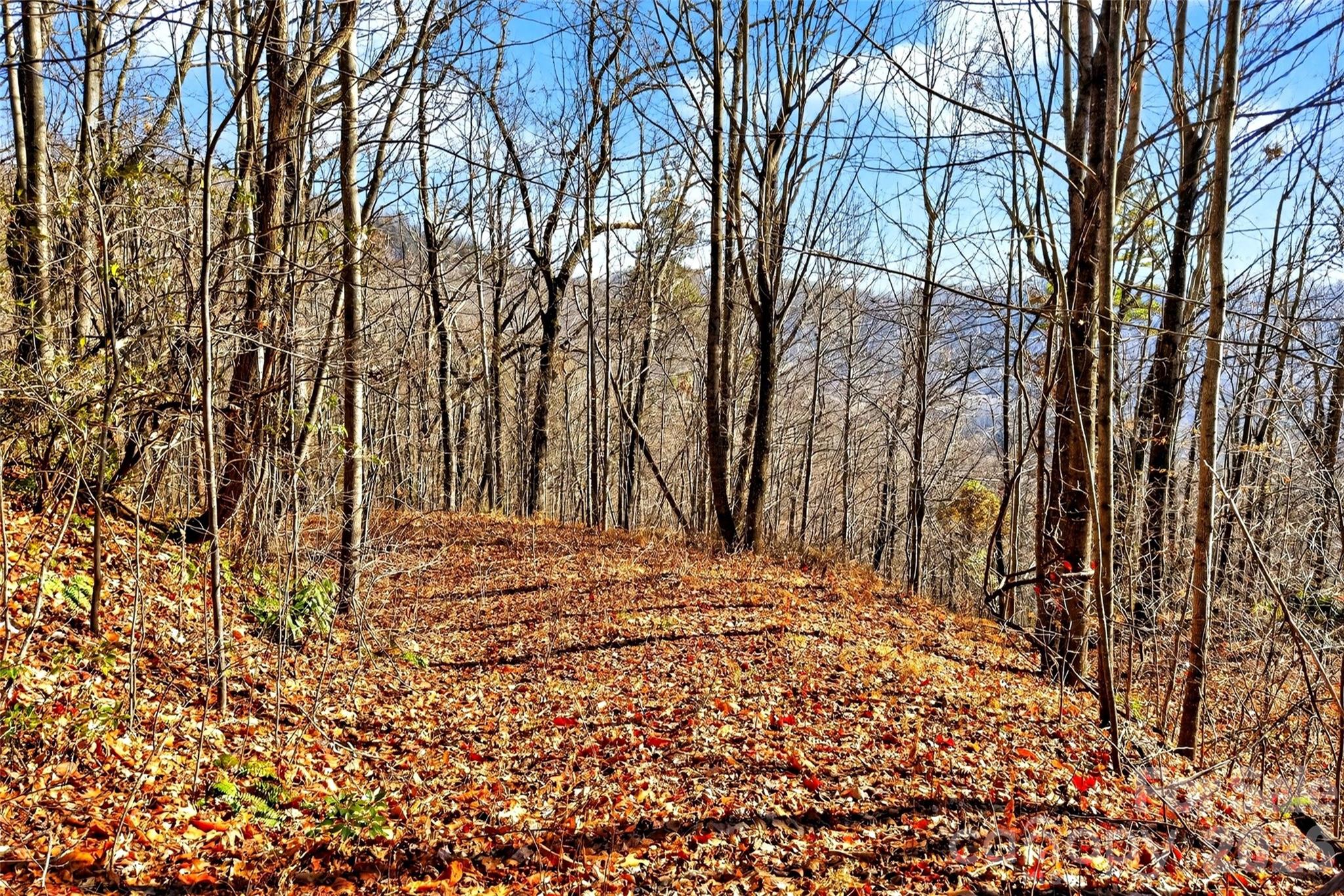 100 Wolf Pen Road Old Fort NC 28762