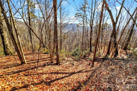100 Wolf Pen Road Old Fort NC 28762