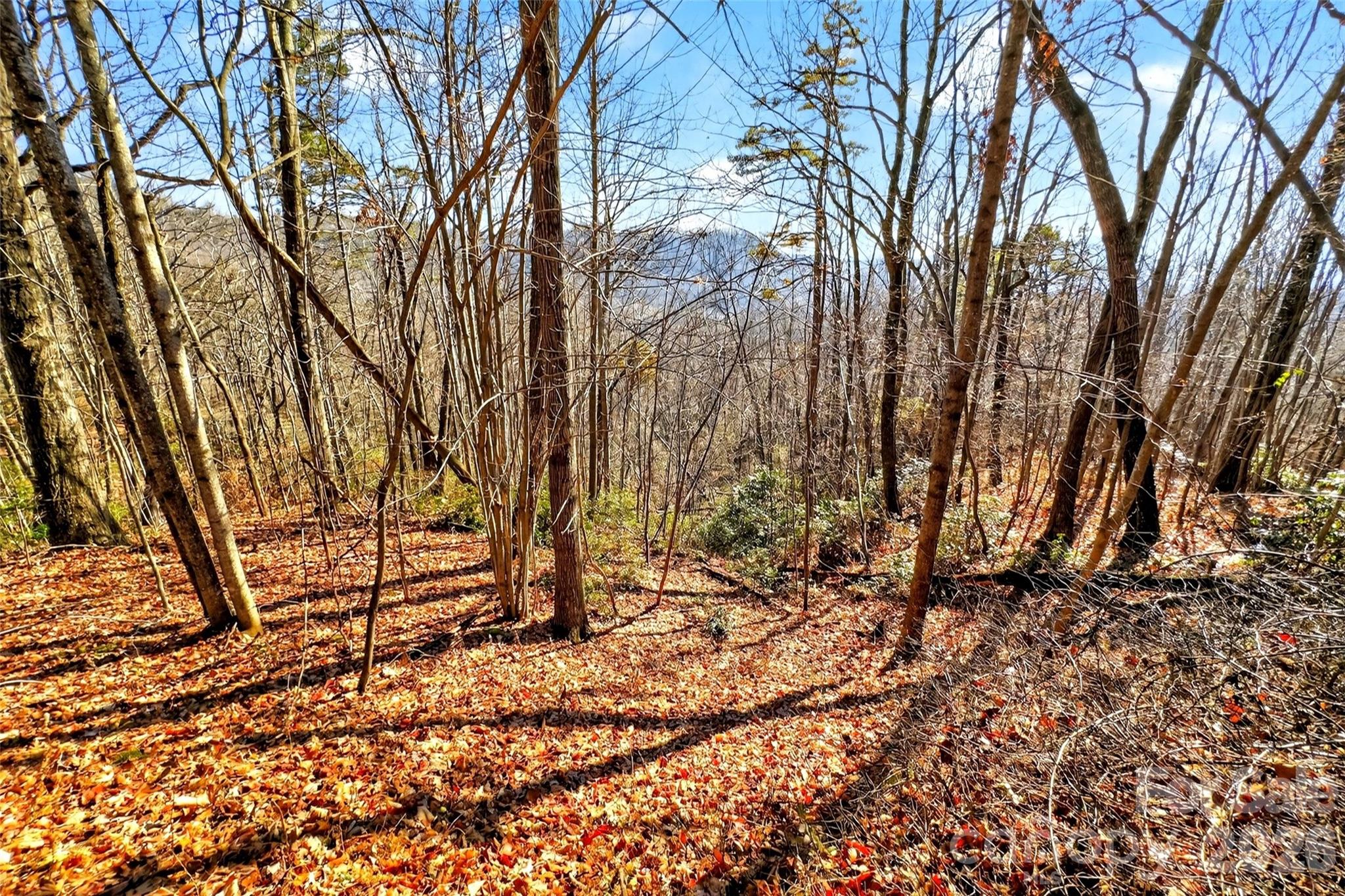 100 Wolf Pen Road Old Fort NC 28762