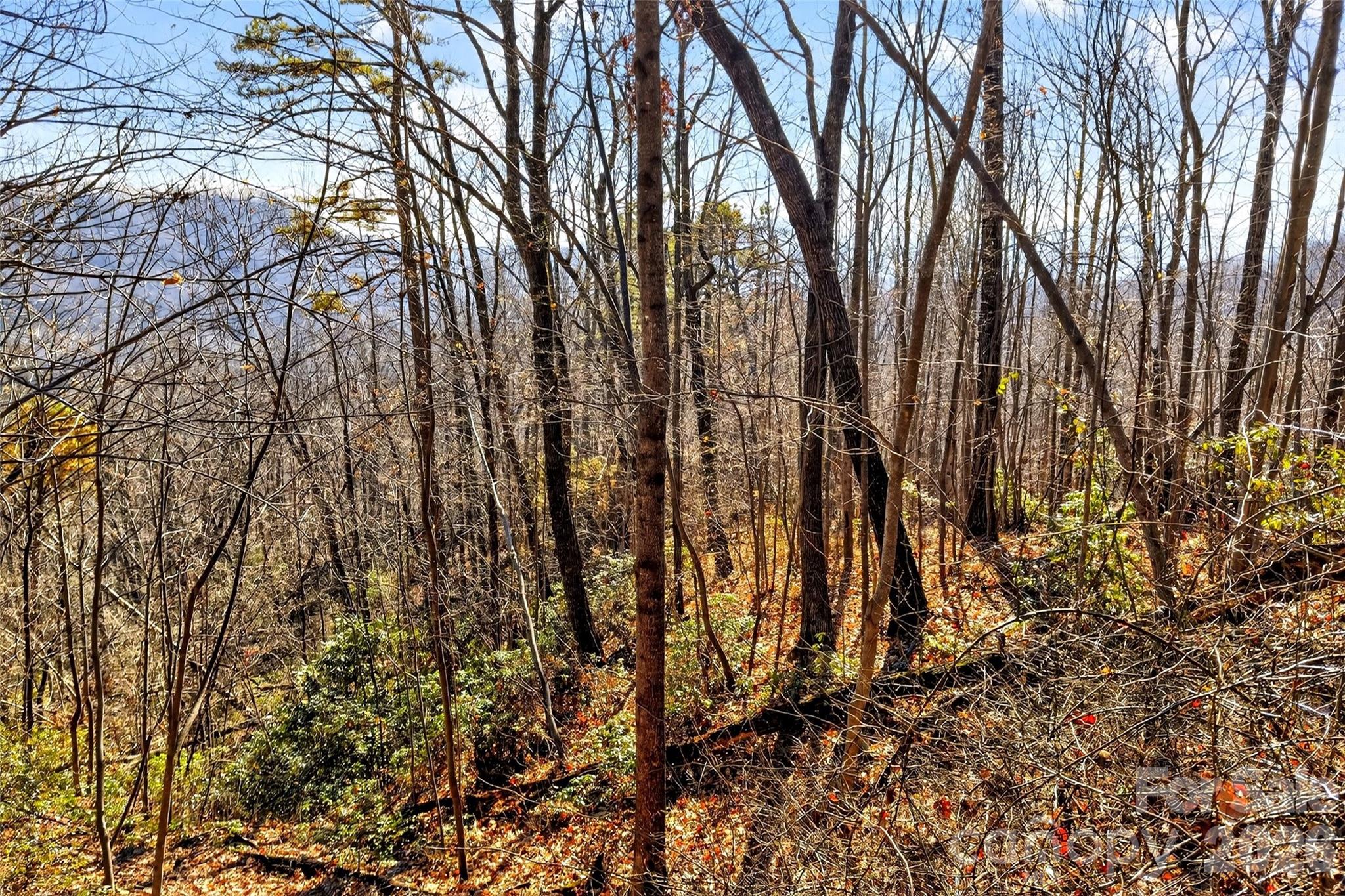 100 Wolf Pen Road Old Fort NC 28762
