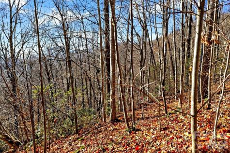 100 Wolf Pen Road Old Fort NC 28762