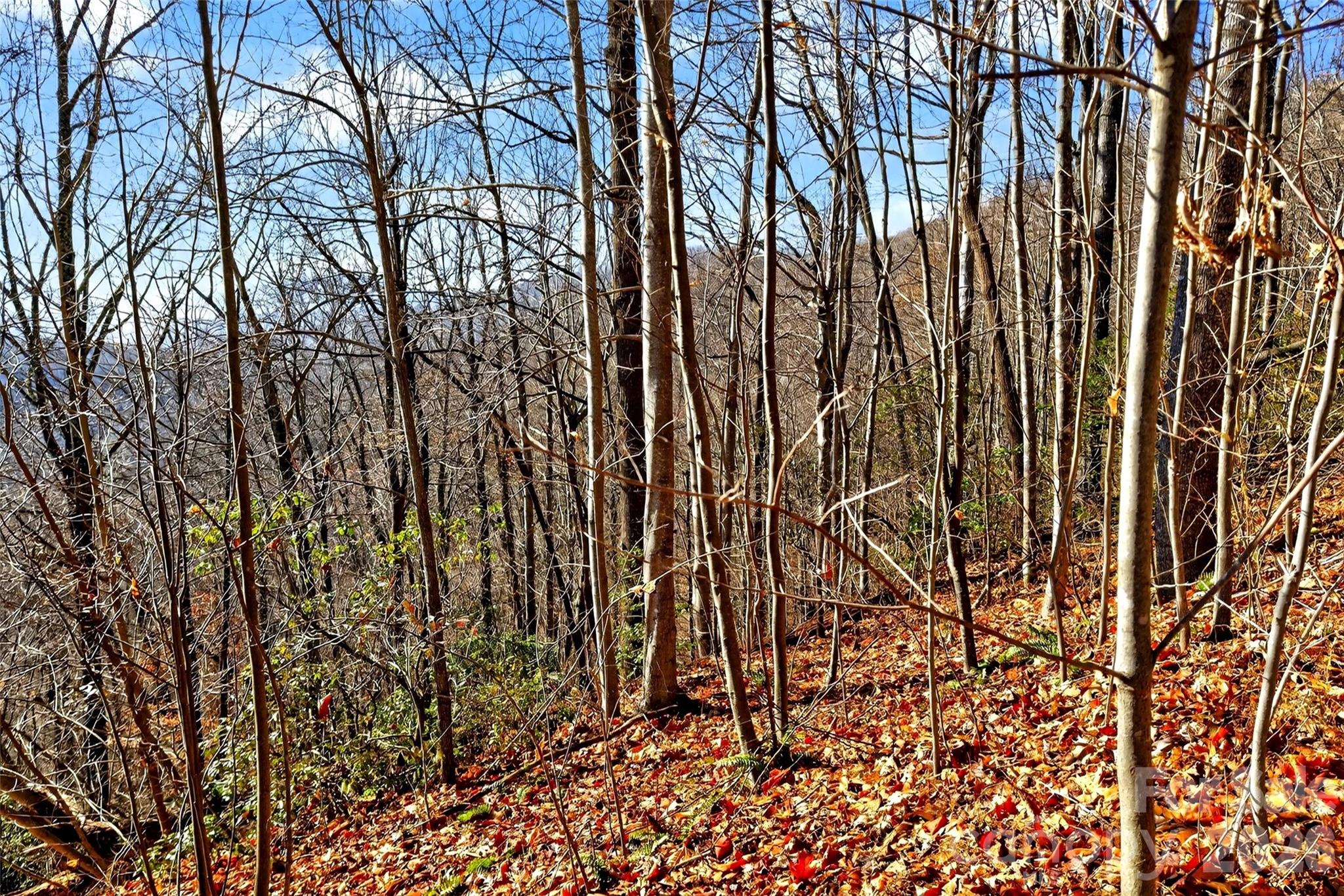 100 Wolf Pen Road Old Fort NC 28762