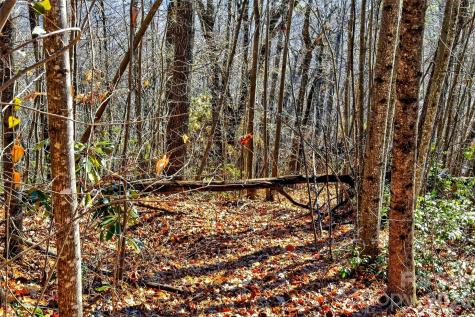100 Wolf Pen Road Old Fort NC 28762