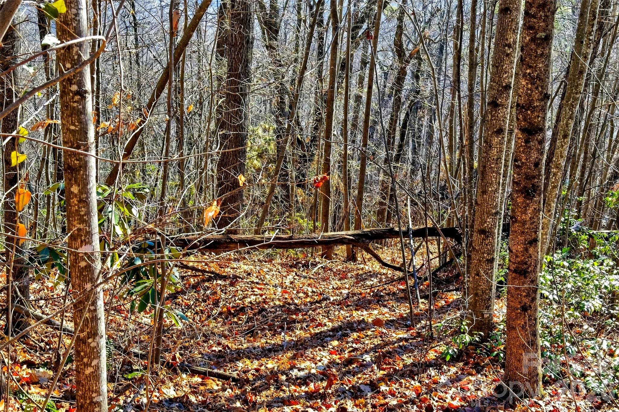 100 Wolf Pen Road Old Fort NC 28762