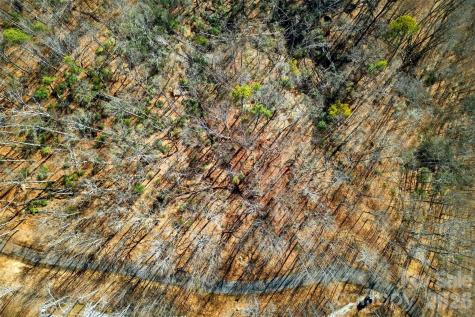 100 Wolf Pen Road Old Fort NC 28762