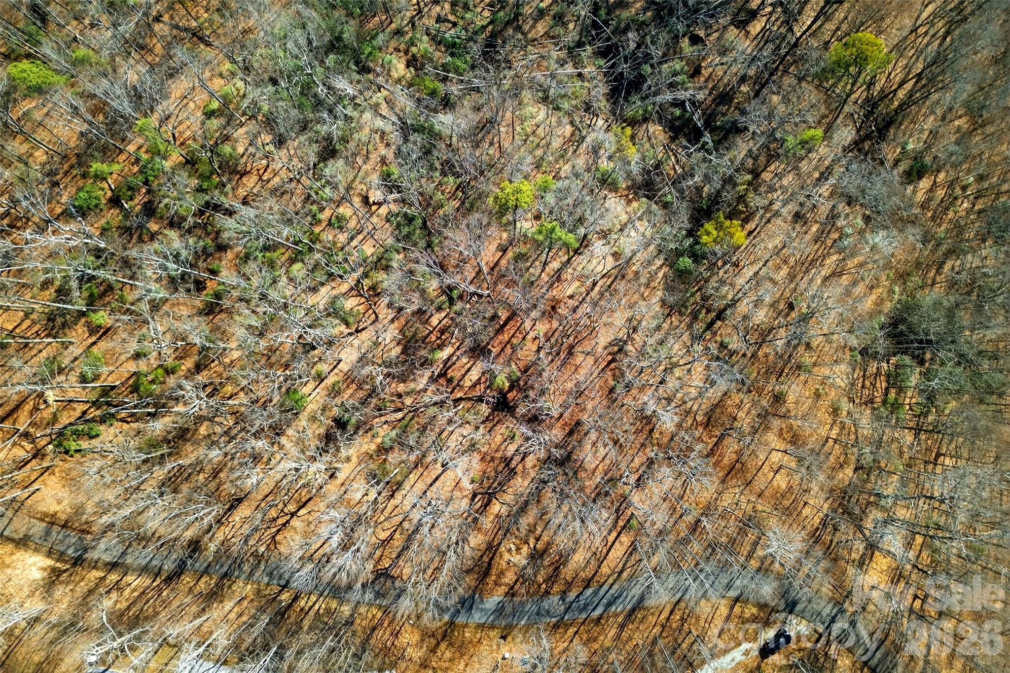 100 Wolf Pen Road Old Fort NC 28762