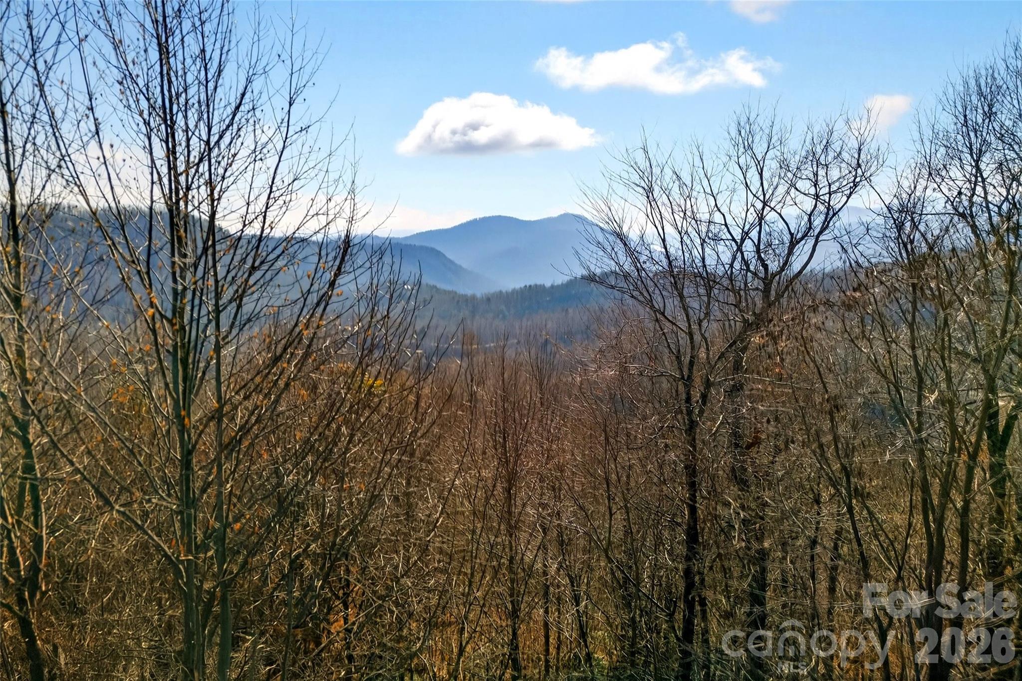 100 Wolf Pen Road Old Fort NC 28762