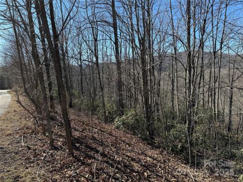 239 Fuji Falls Trail Black Mountain NC 28711