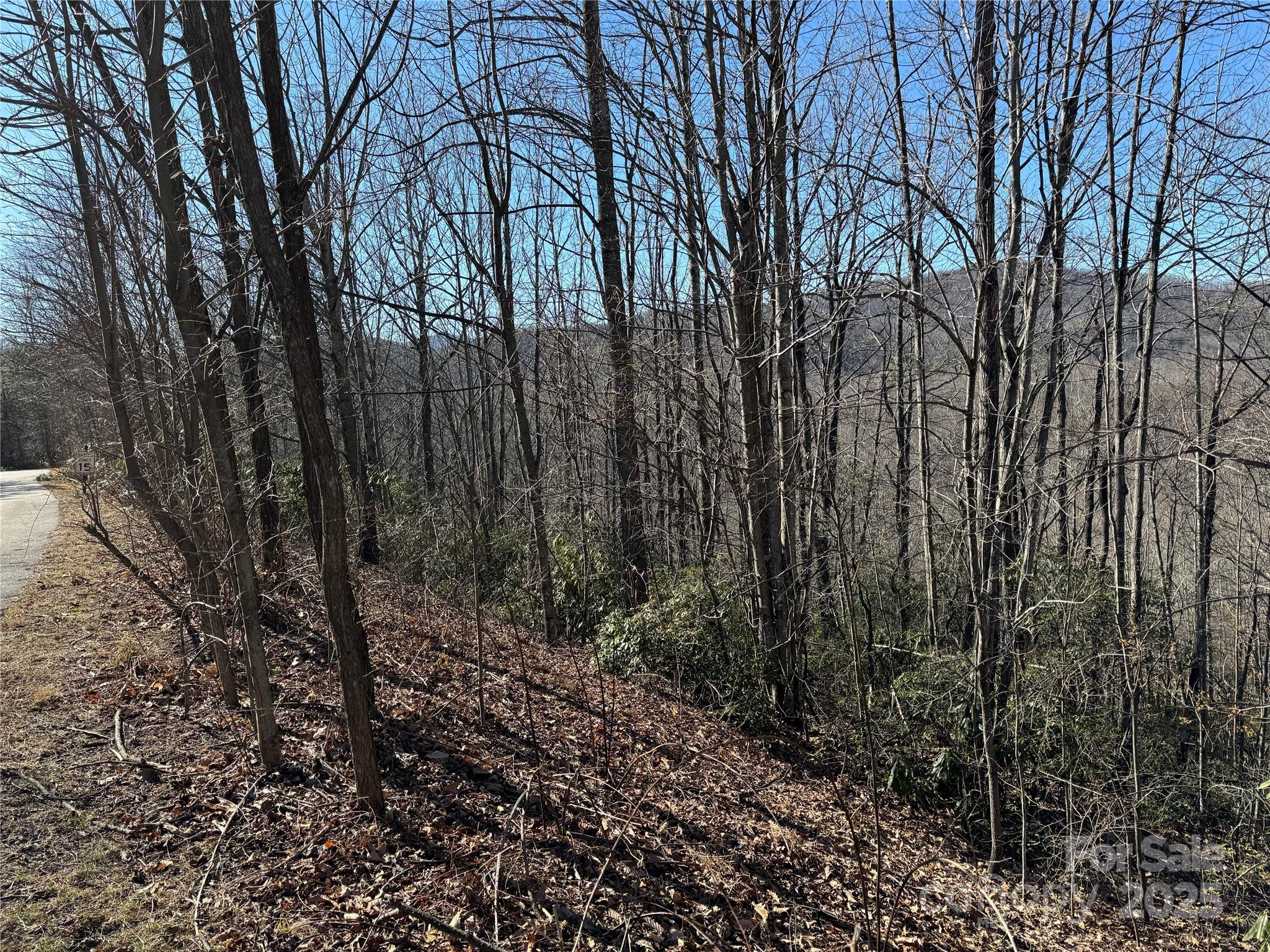 239 Fuji Falls Trail Black Mountain NC 28711