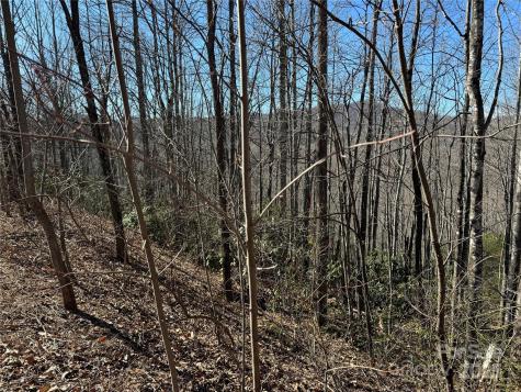 239 Fuji Falls Trail Black Mountain NC 28711