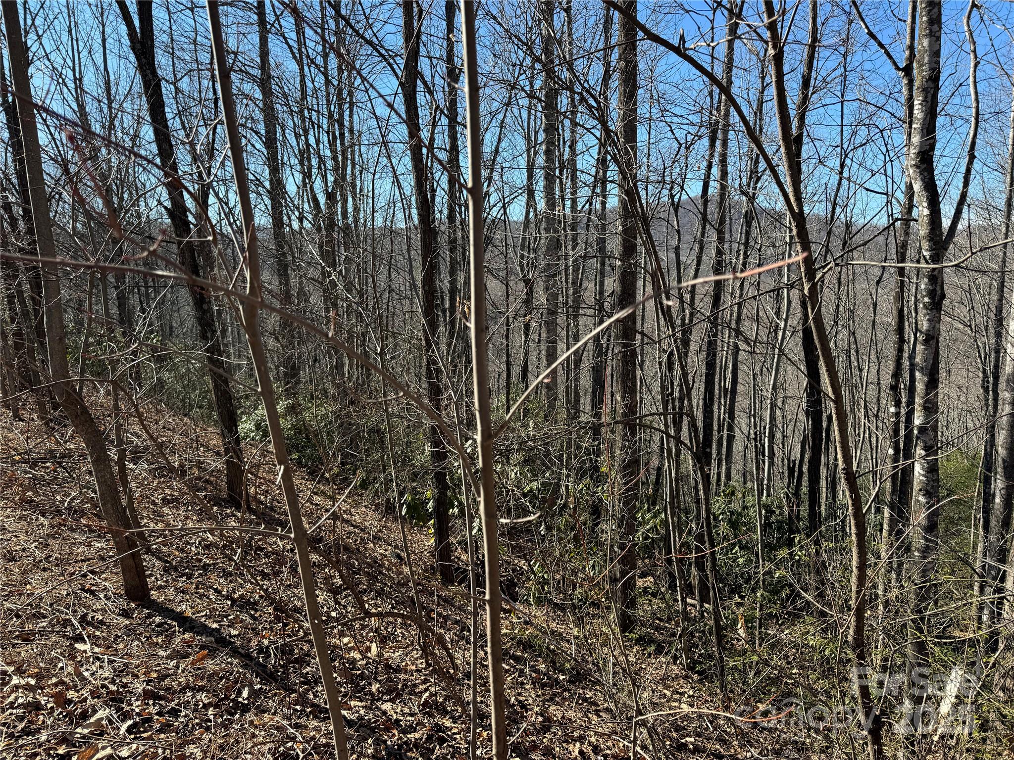 239 Fuji Falls Trail Black Mountain NC 28711