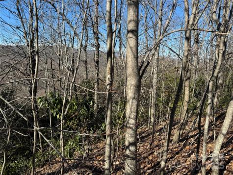239 Fuji Falls Trail Black Mountain NC 28711