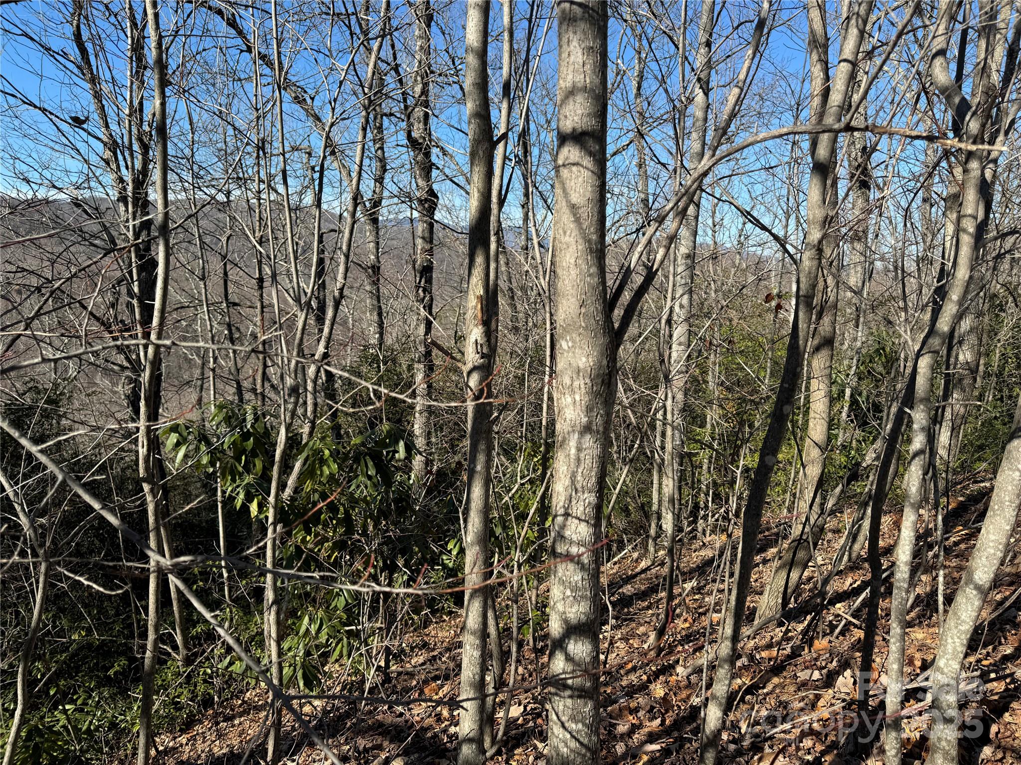 239 Fuji Falls Trail Black Mountain NC 28711