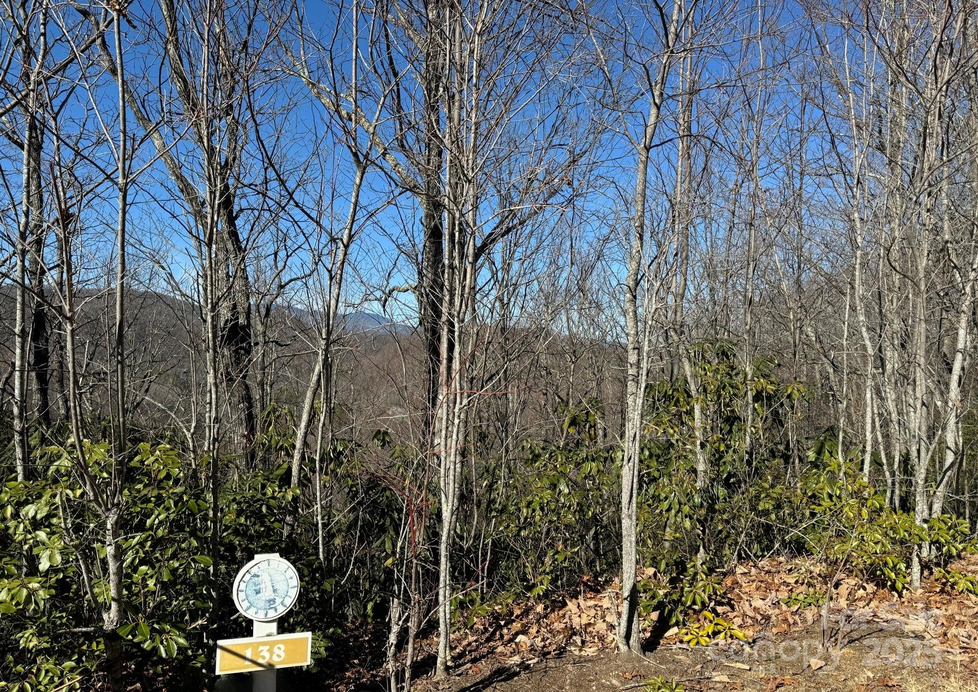 239 Fuji Falls Trail Black Mountain NC 28711