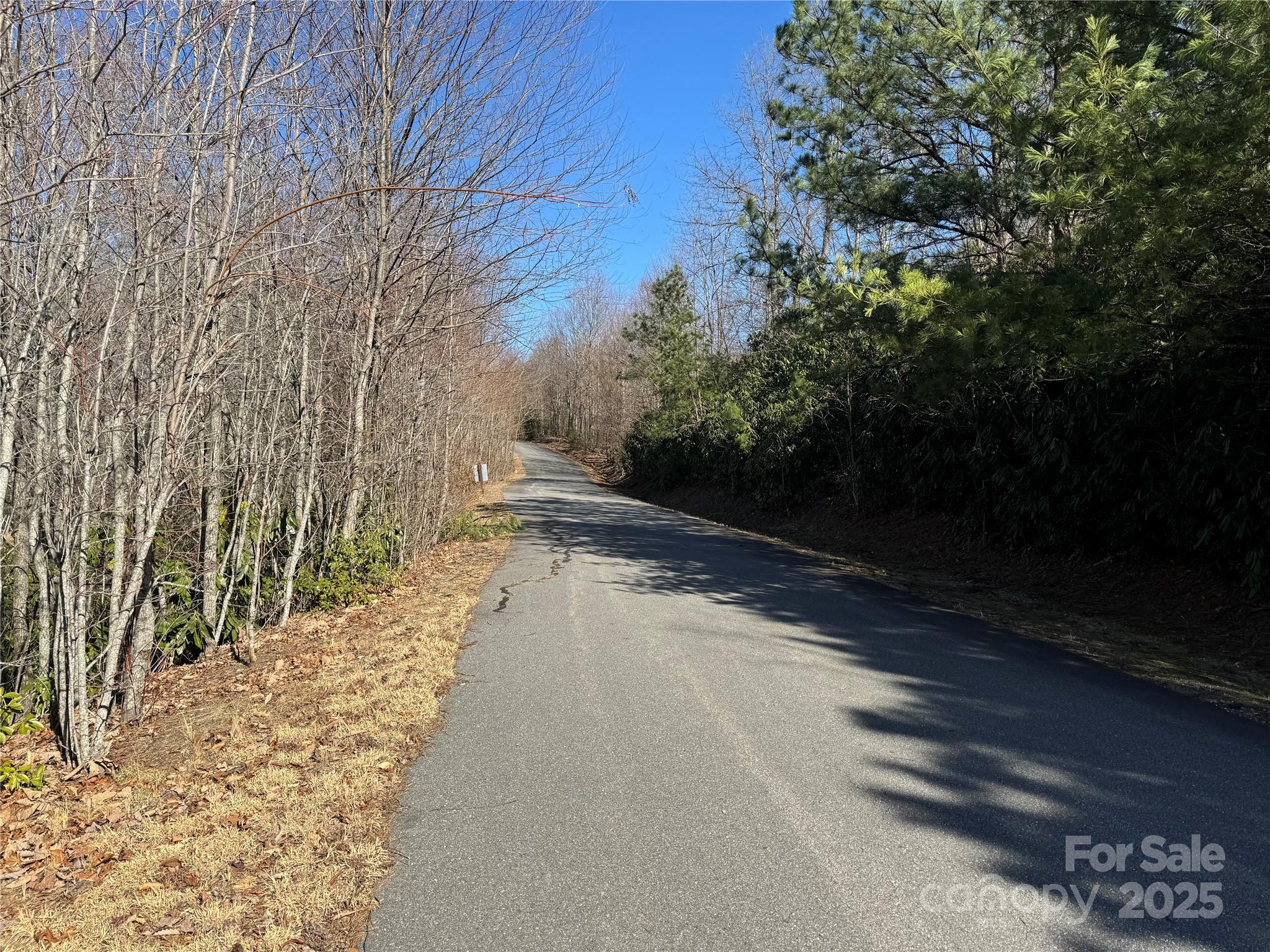 239 Fuji Falls Trail Black Mountain NC 28711