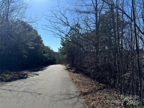 239 Fuji Falls Trail Black Mountain NC 28711